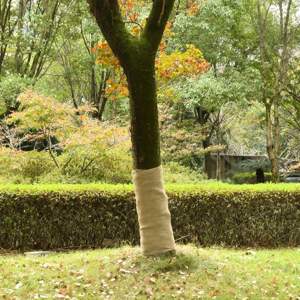 Tkanina jutowa, 2 rolki, 1x50 m, 100% juta, 200 g/m²